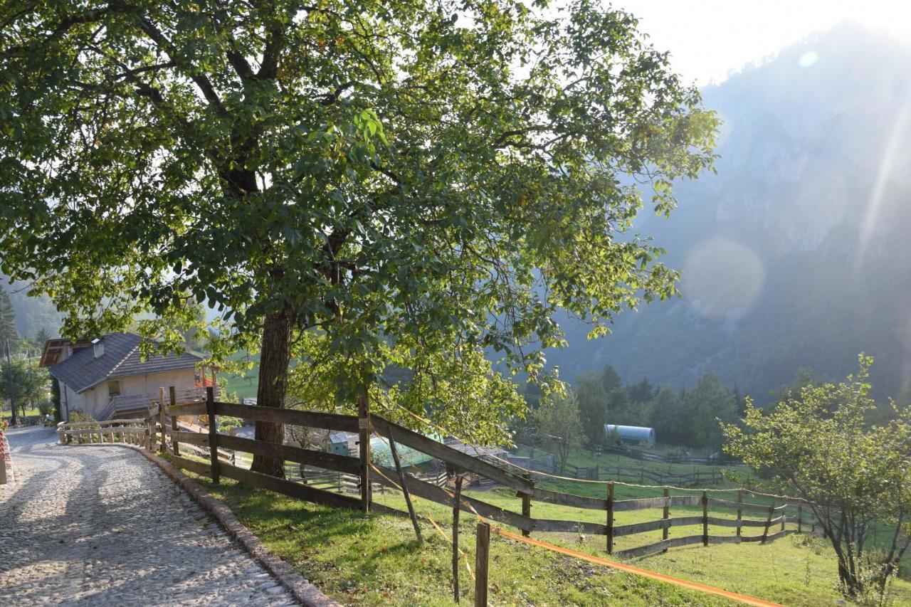Agriturismo Athabaska San Lorenzo Dorsino Ngoại thất bức ảnh